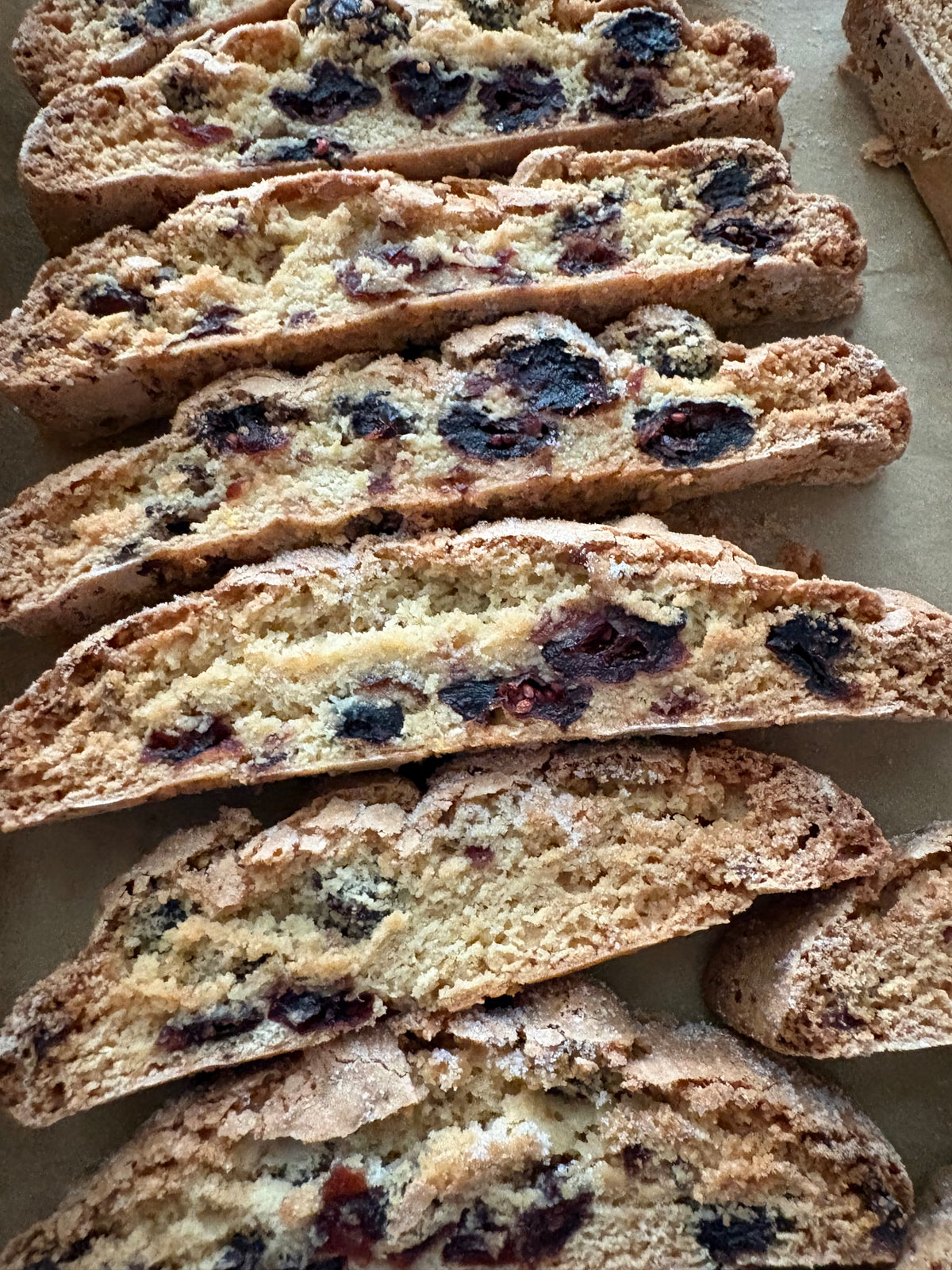 Cranberry and Orange Biscotti